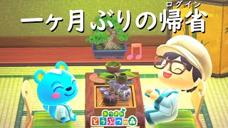 #97【あつ森】初めての１ヶ月ぶりのログイン！ついに魔王を倒す時が来た！！
