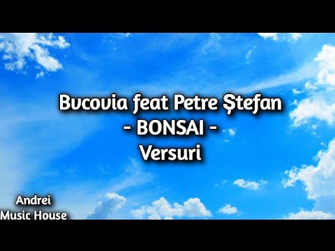 Bvcovia feat Petre Ștefan - Bonsai (versuri)