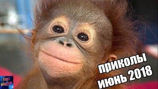 приколы июнь 2018, смех до слёз , подборка приколов 2018