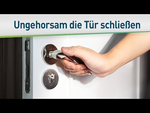 Dem Ungehorsam die Tür zuschlagen – Bayless Conley