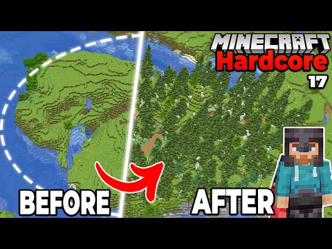 I Built the BIRCH FOREST UPDATE in Hardcore Minecraft 1.19 Survival (#17)