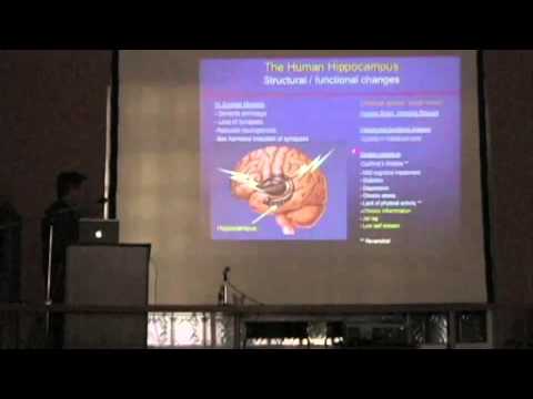 Bruce McEwen: "Central Role of the Brain in Stress and Adaptation" Part 1