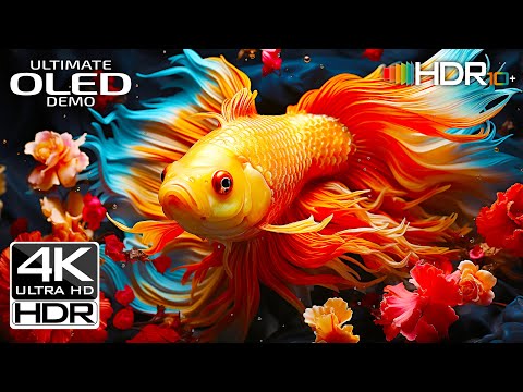 Gorgeous 4K 60FPS Aquatic Life | Best of 4K ULTRA HD Video HDR TEST (4K/8K TV)
