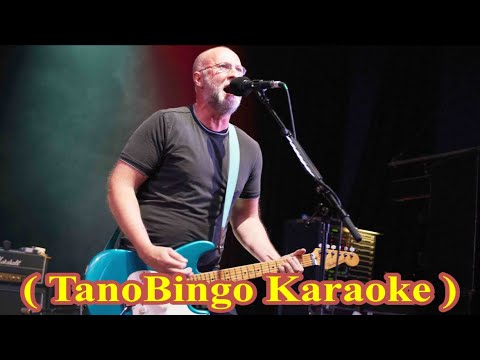 The Silence Between Us - Bob Mould