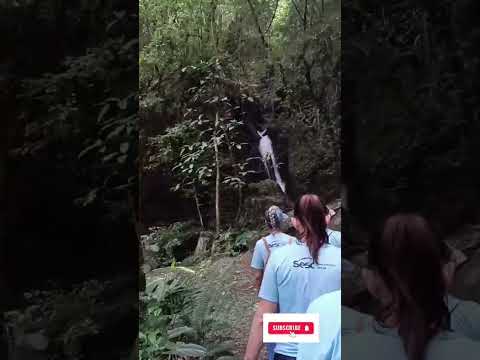 Caminhadas na Natureza com @sescsantacatarina , Alto Cutias, Lontras -SC