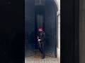 COH CLOSING SENTRY BOX DOOR AT HORSE GUARD! #royalguard #royalhorseguard #royalkingsguards