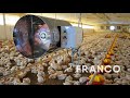 How To Heat Pig And Poultry Farms With The G Series Heaters By Franco