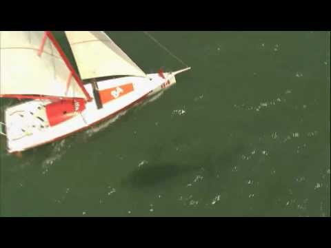 Spirit of Canada Vendee Globe Video