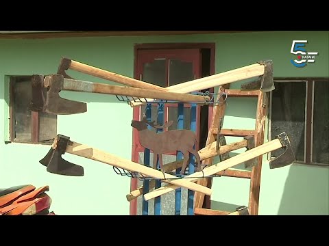 Hiljade Cicinih sekira