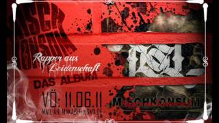MischKonsuM - Eine tragische Geschichte (R.a.L. Album Preview Nr. 1)