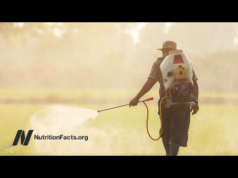 Are Organic Foods More Nutritious