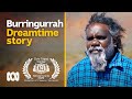 Australian dreamtime story - the world's biggest rock, Burringurrah, Mount Augustus | ABC Australia