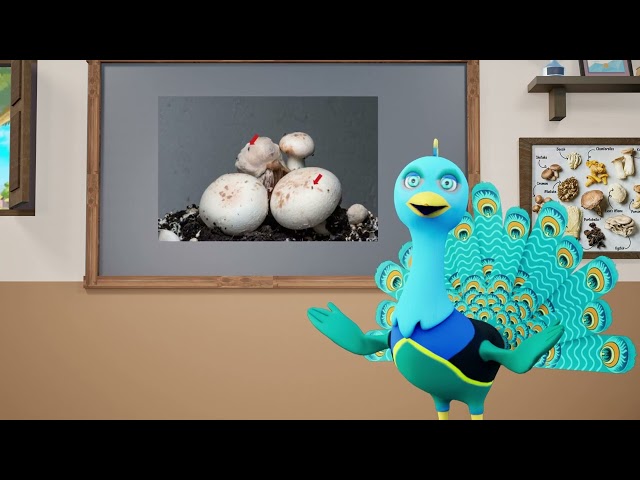 thumbnail of the course