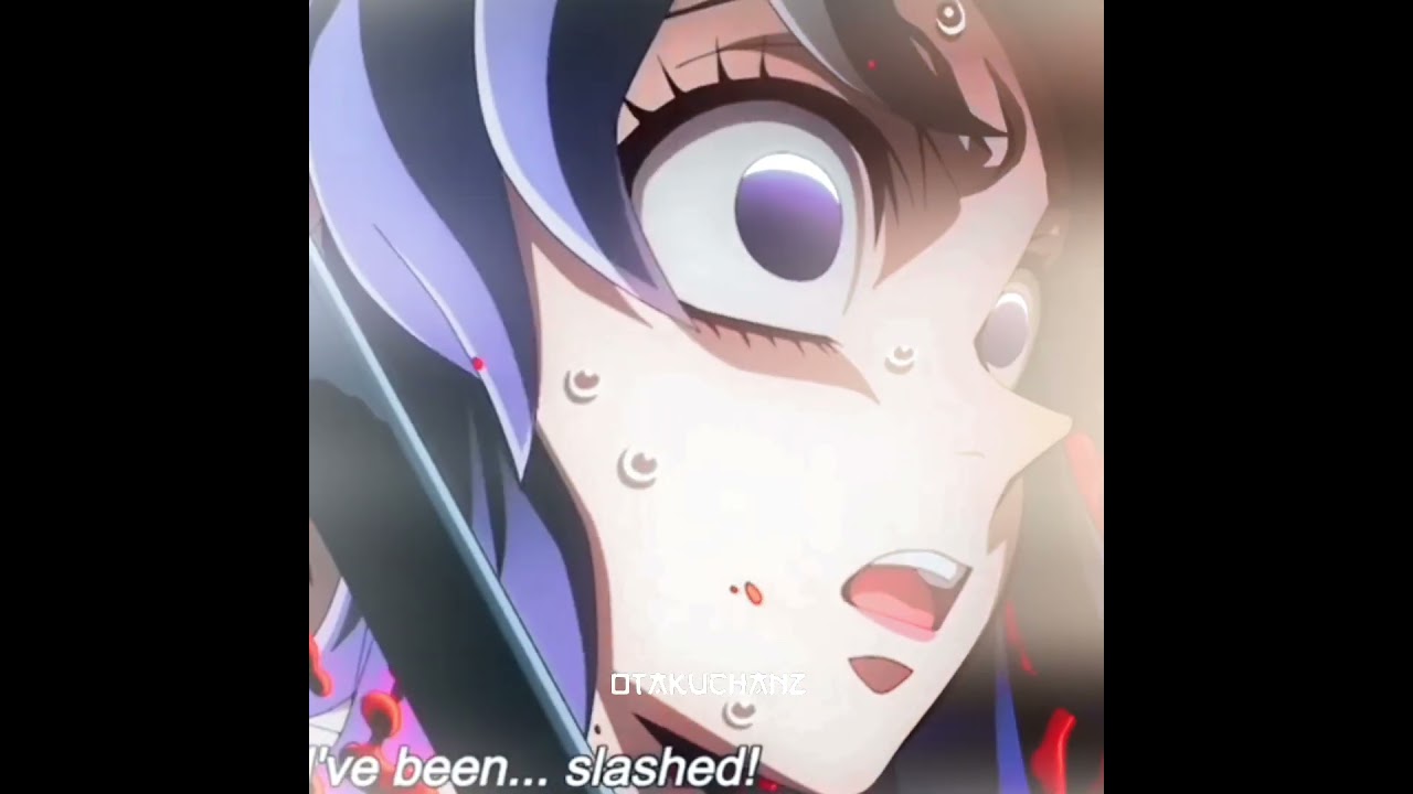 shinobu and kanae🥲 #anime #lny #dms #shinobu #kanae #greatest