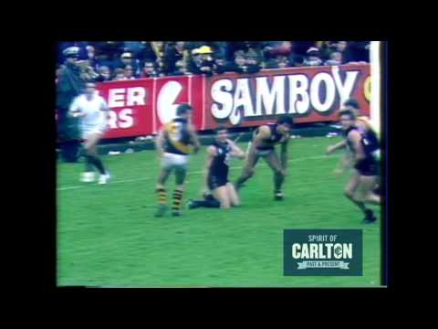 Des English 1984 - Carlton Football Club Past Player