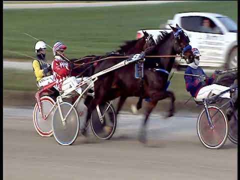 Trotto 15/11/2019 - 6ª corsa