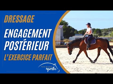 Engagement des postérieurs : L'exercice parfait !