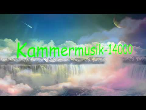 Trailer #1 // Kammermusik-14000 // Nico Sauer