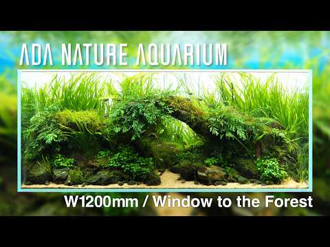 Film ADA Zbiornik 120 cm