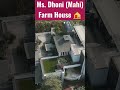 Ms DHONI FARM HOUSE Thalaforareason Shorts Viral Ipl2025 Thala Dhoni Kohli Cricket Ipl2024