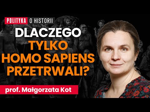 Polityka o historii and Tygodnik Polityka