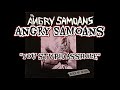 Angry Samoans - You Stupid Asshole ( Lyrics Video )