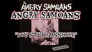 Angry Samoans - You Stupid Asshole ( Lyrics Video )