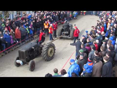Bulldog ziag'n  2017 - Hausler Hof / Alter Schlüter - schwarzer Lanz