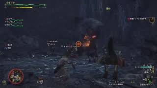 夫婦でモンハンやるよー