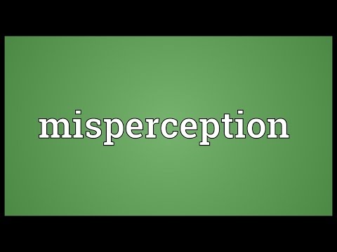 Misperception Meaning