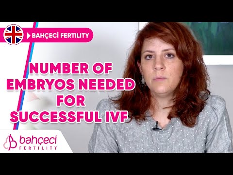 How Many Embryos Should Be Transferred In IVF?