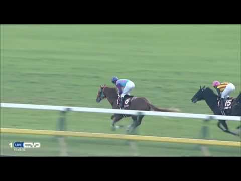 2016.11.06 Copa Republica Argentina (JPN) - Cheval Grand