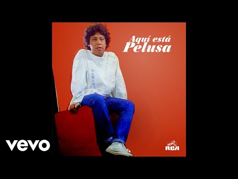 Pelusa - Cuando Tú No Estás (Official Audio)