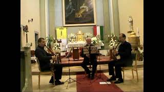 Lotz Trio in Visegrád - Basset Horn trio - Georg Druschezky: Divertissement - Allegretto Scherzando