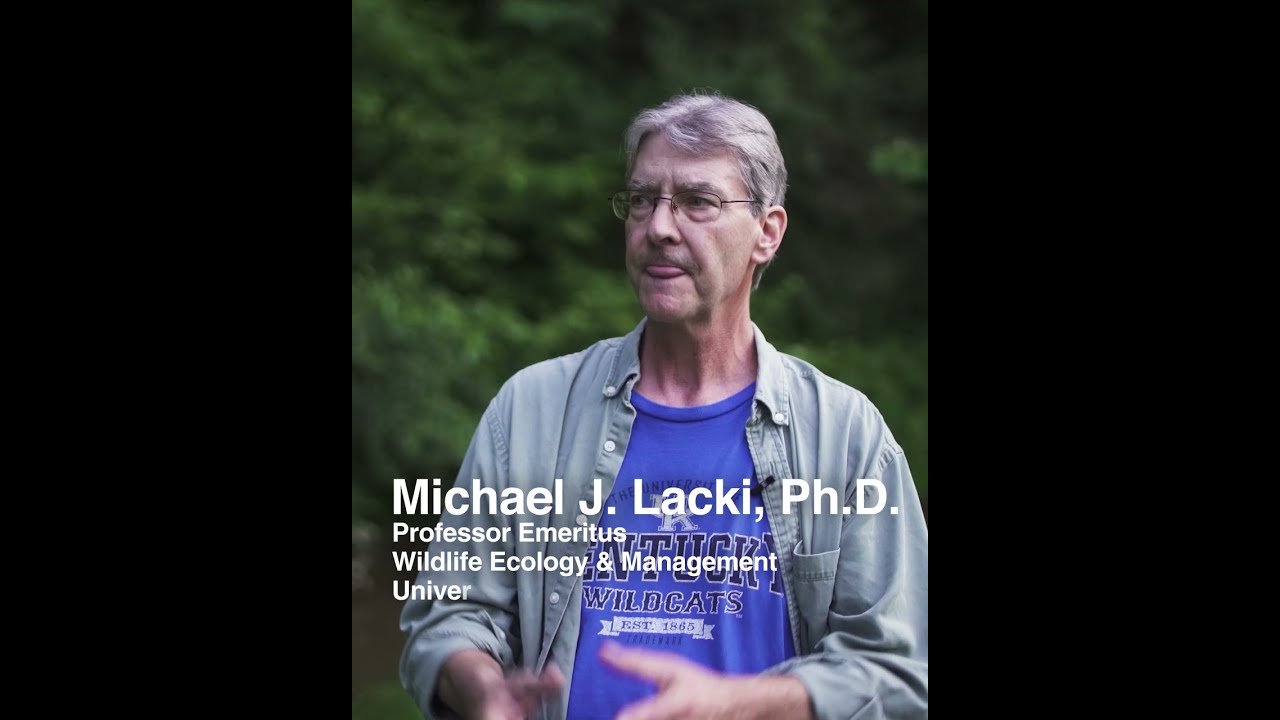 Conserving Habitat for Threatened Bats in the US: Part 1