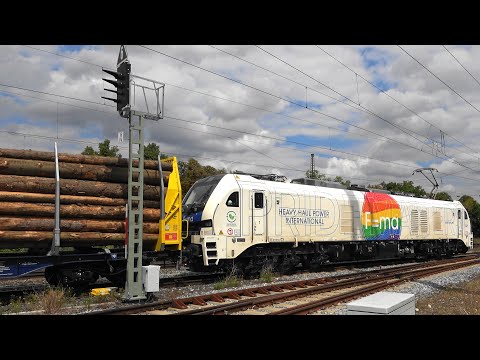 💪Endlich❗STADLER EuroDual BR159 der HHPI mit Holzzug in Neustadt Aisch erwischt!