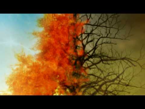 1 Giant Leap - The Way You Dream (feat. Michael Stipe and Asha Bhosle)