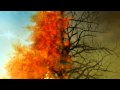 1 Giant Leap - The Way You Dream (feat. Michael ...