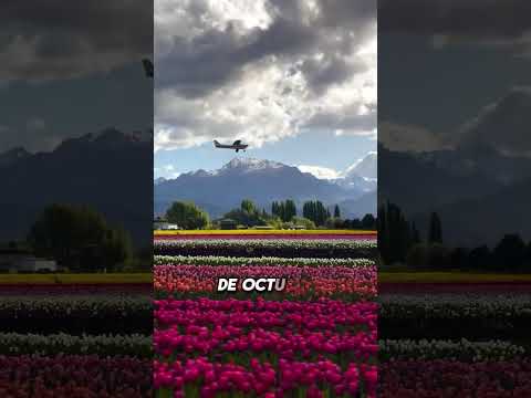 ¡ARRANCÓ LA TEMPORADA! 🌷🔥