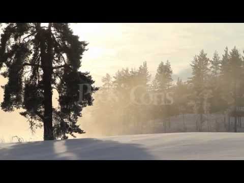 Mary Did You Know? (acapella) - Pros & Cons feat. Lexi Lawson