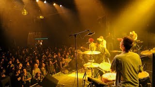 Seed to Tree - Until It Gets Better (Official Live Video)