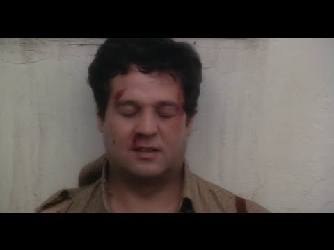 "Non si può spiegare, bisogna vederlo" Mogherini/Pozzetto