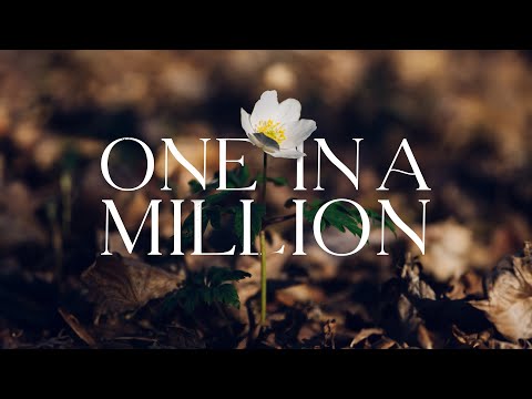 Mentol, Juliet - One in a Million