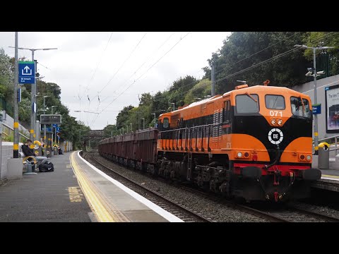 Irish Rail 071 Locos 081, 071 & 077 on Sperry & Tara Mines Trains | Gormanston & Killester, 26/9/22