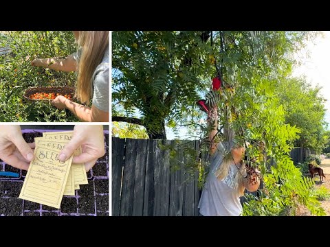 Spend the Day in the Garden with Me! 🌳 Pruning, Harvesting & Seed Sowing