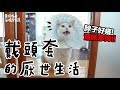 【黃阿瑪的後宮生活】戴頭套的厭世生活