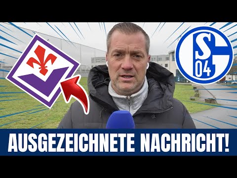 🚨S04: NEUER STÜRMER KOMMT AUS ITALIEN?! // nachrichten von schalke 04  // News