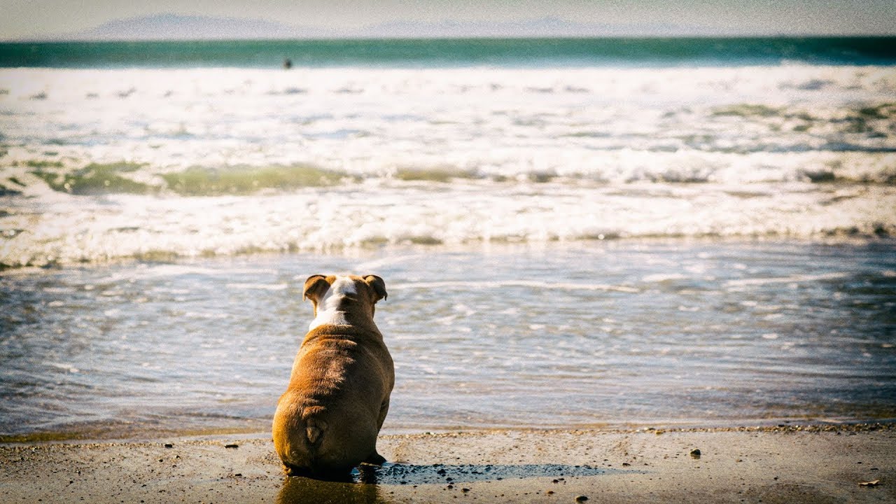 BOTE Presents // San Somewhere