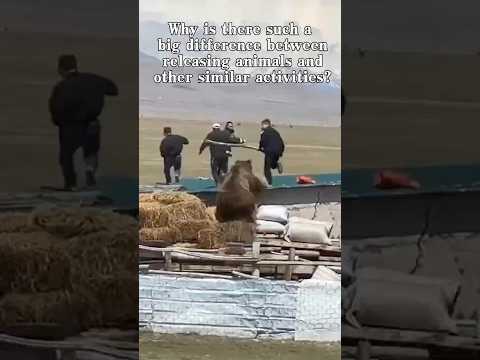 Why Is Releasing Animals So Different From Other Similar Activities? 🐾 #WildlifeConservation