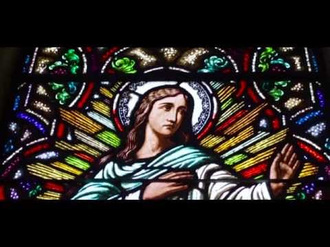 Mikey Amaré - Sé Lot (Official Video)